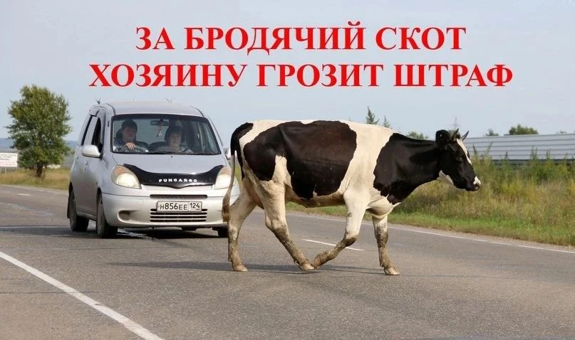 🚨 Внимание, жители Тарбагатайского района!

Мы наблюдаем тревожную ситуацию: по улицам наших сел св