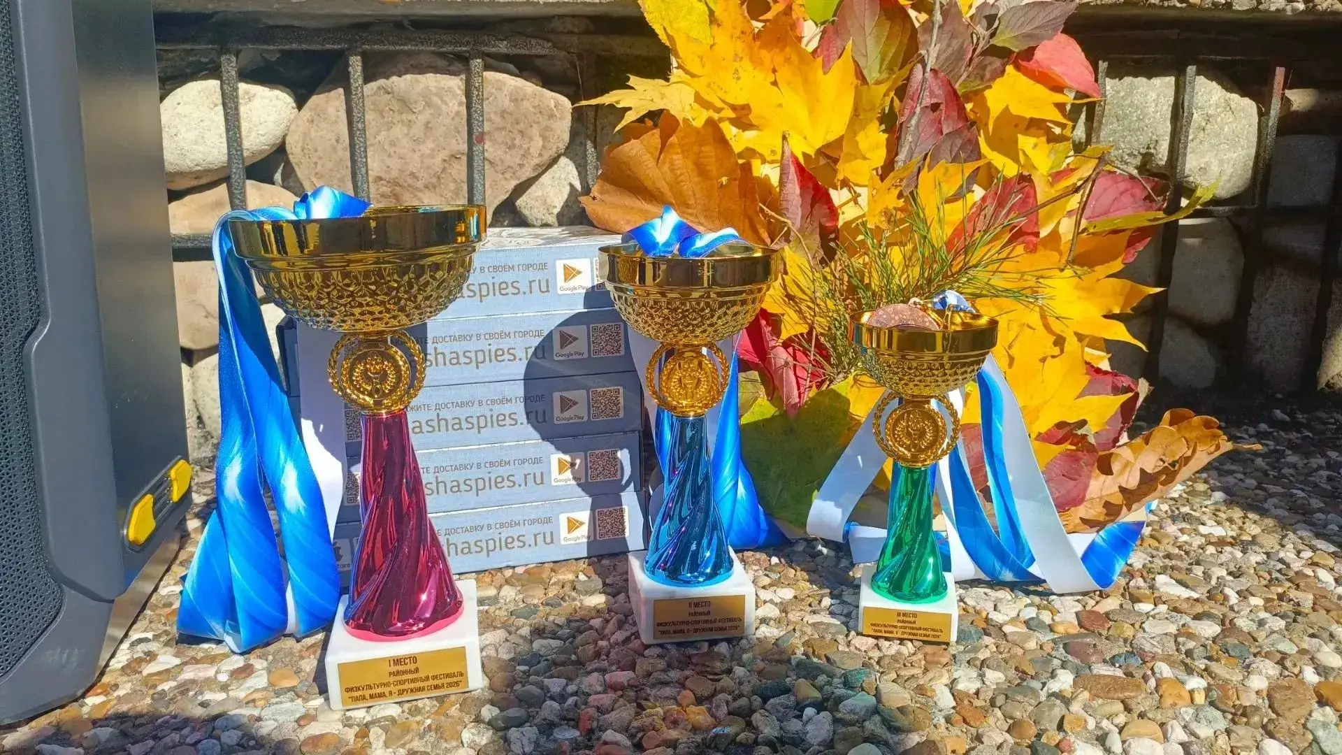 🏆 «Папа, мама, я — спортивная семья»: в парке «Северный» прошёл районный спортивный фе...