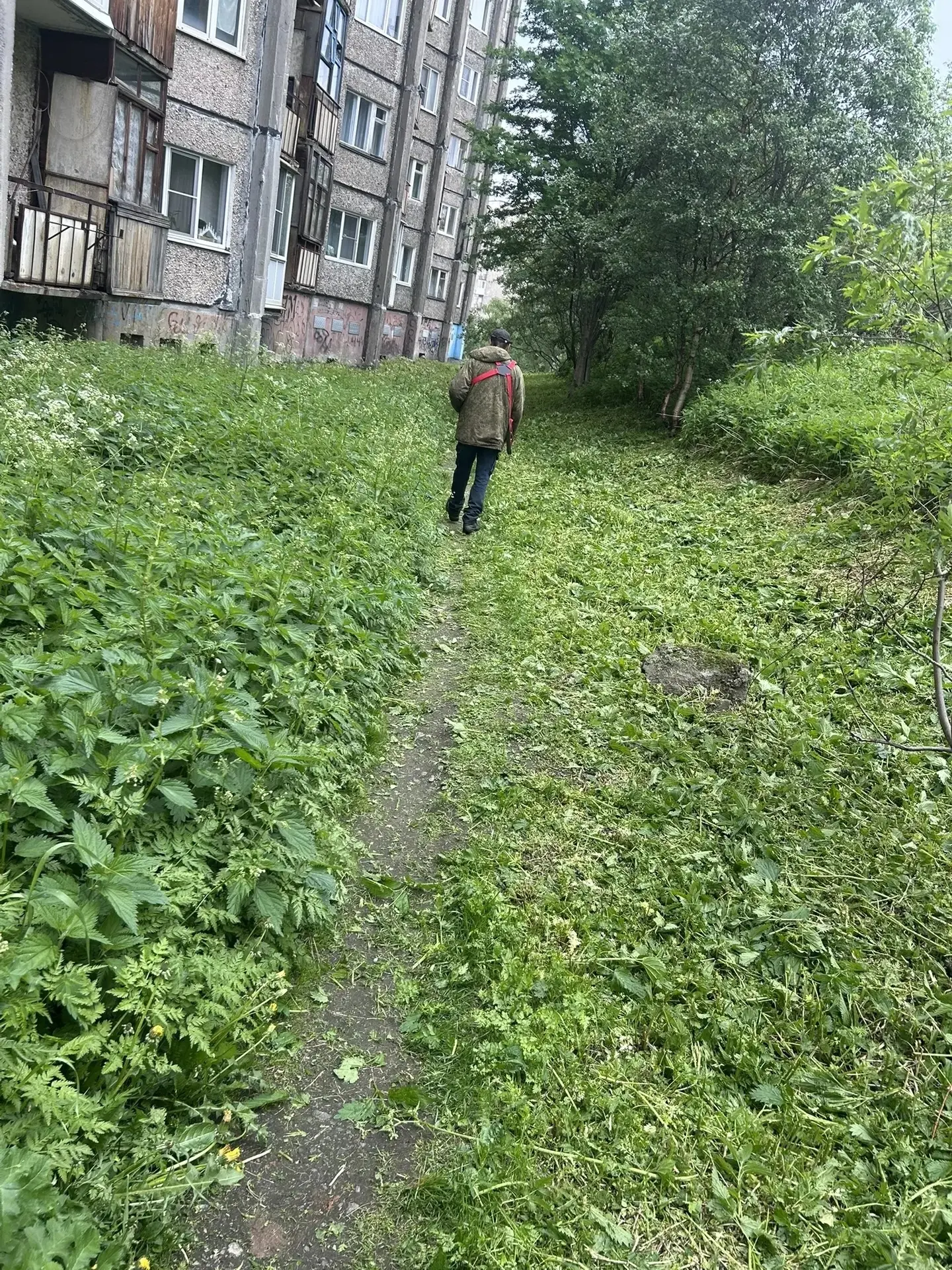 🌿 Лето в самом разгаре, а значит, газонокосилки вышли на дежурство — делают наши газоны аккуратнее 