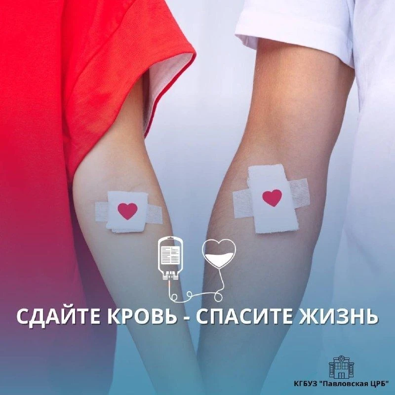 12 августа 2026 года