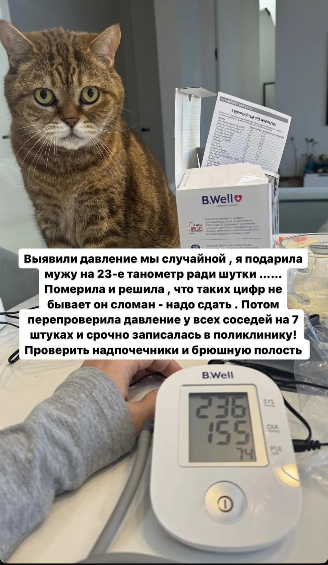 Изображение 2 к публикации «Лада -уют своими руками🍋 /ИИ 🤖/-20кг 🥗»