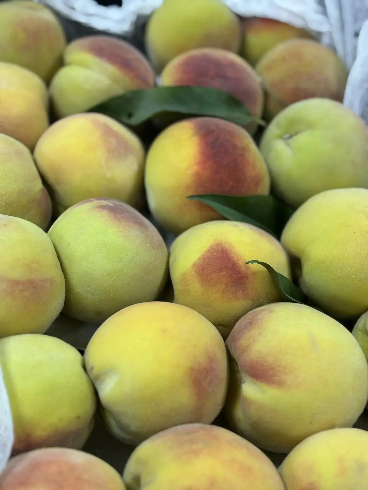 Свежее поступление фруктов 🍉🍈🍇🫐🥭