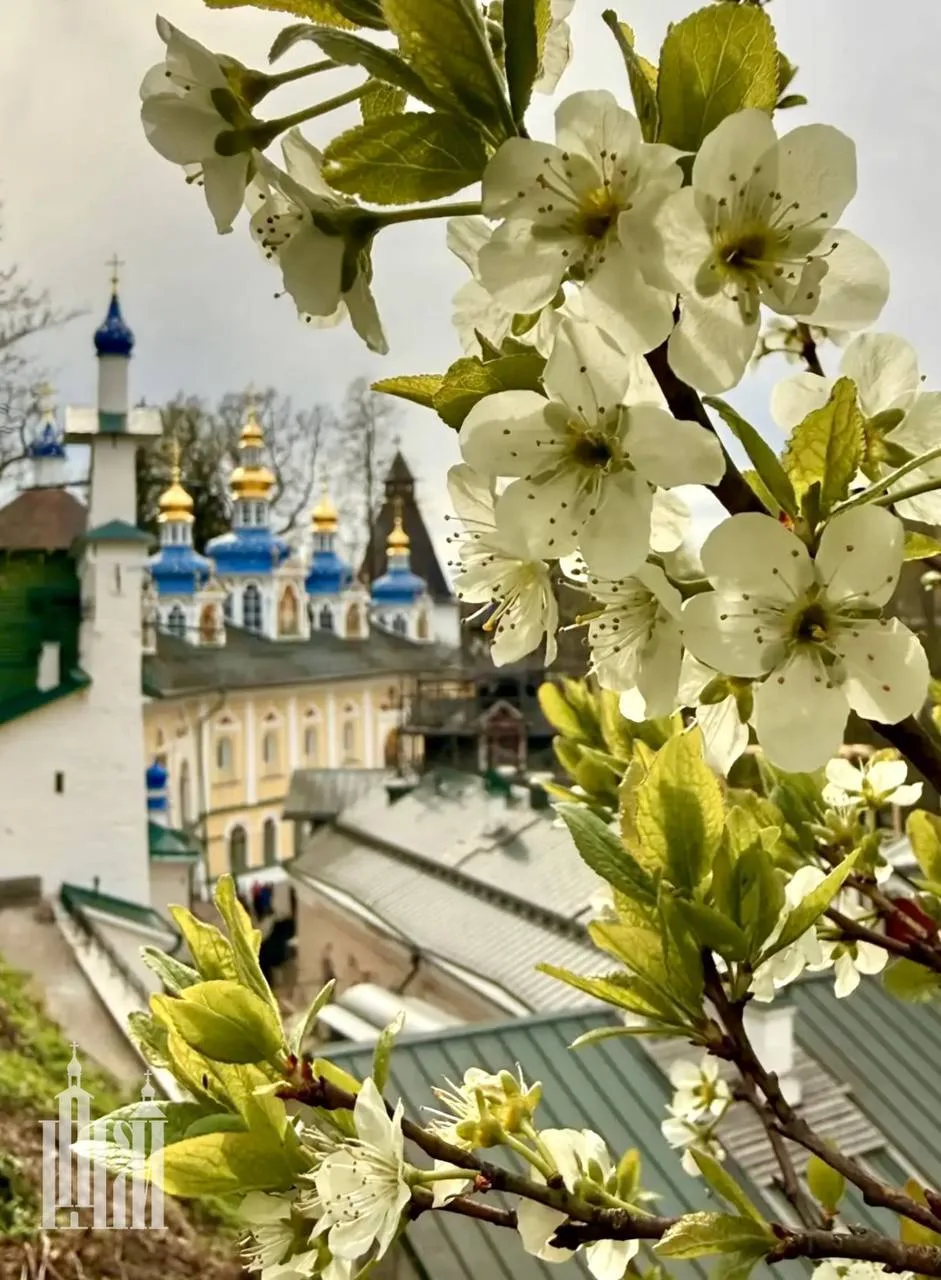 Божией помощи на день грядущий, друзья!   На фото — Свято-Успенский Псково-Печерский монастырь.  Зве