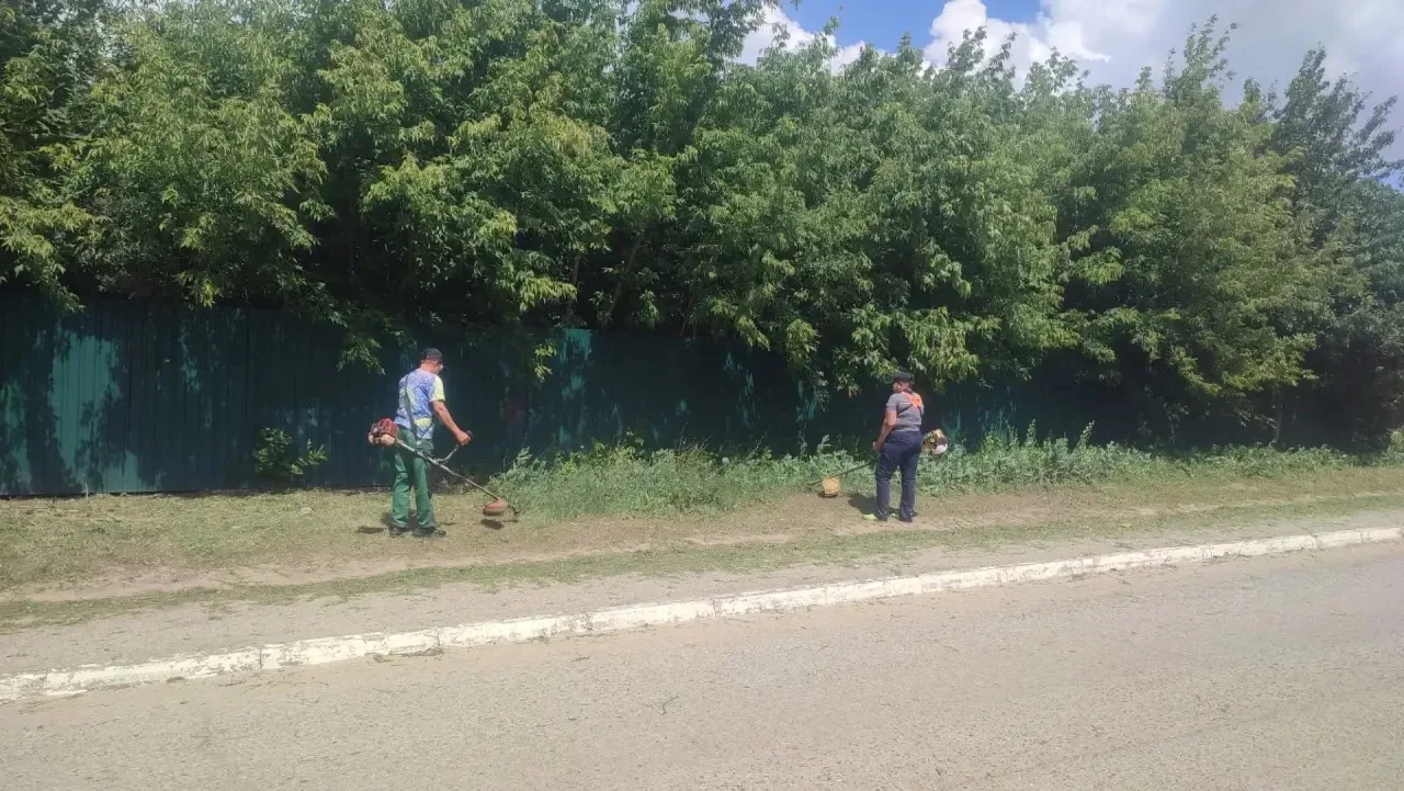 🌺 В Гагаринском районе продолжаются плановые работы по благоустройству

Сегодня в районе ведутся ра