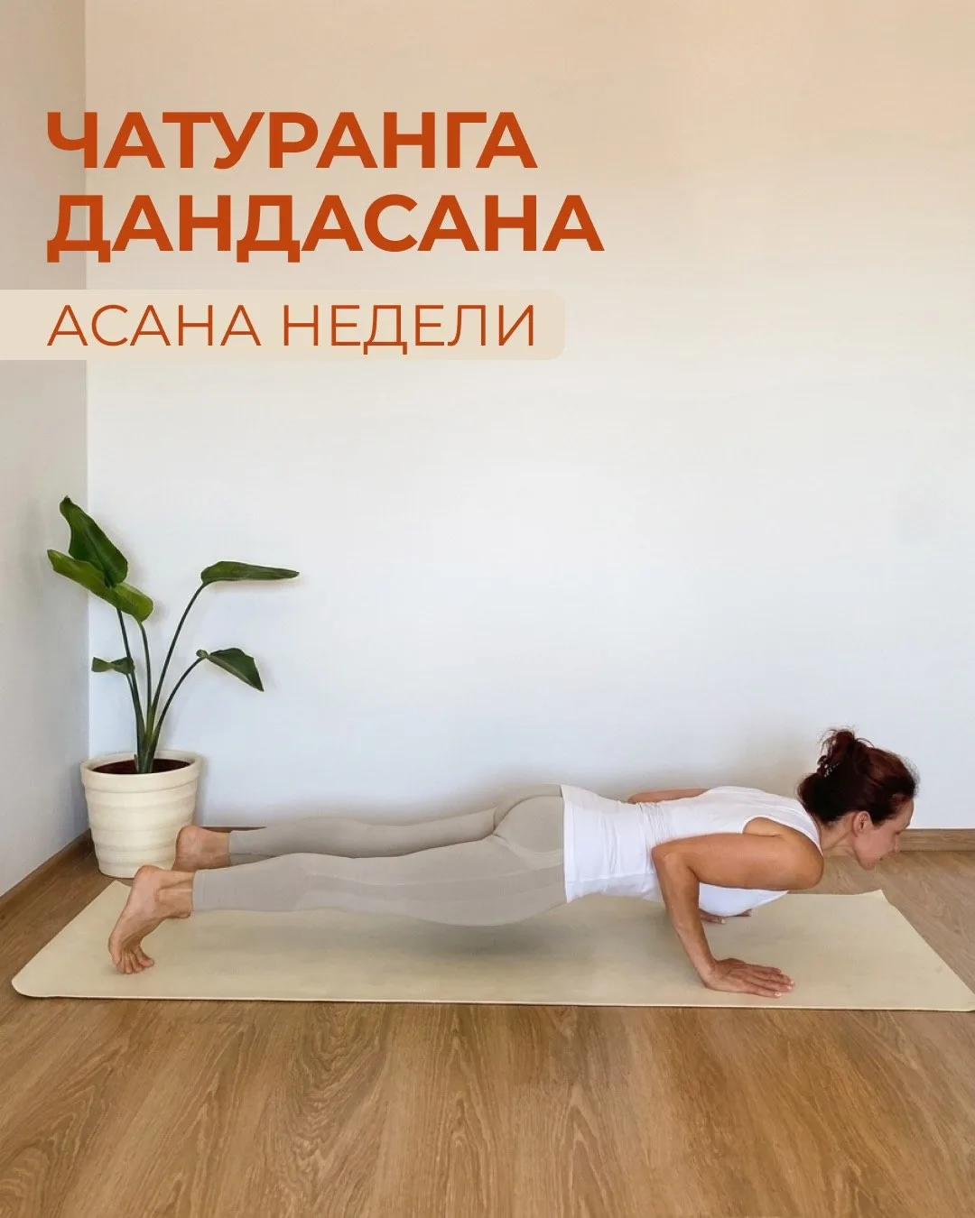 Чатуранга Дандасана – это «поза посоха на четырёх опорах»

Чатур = четыре
Анга = конечность
Данда = 