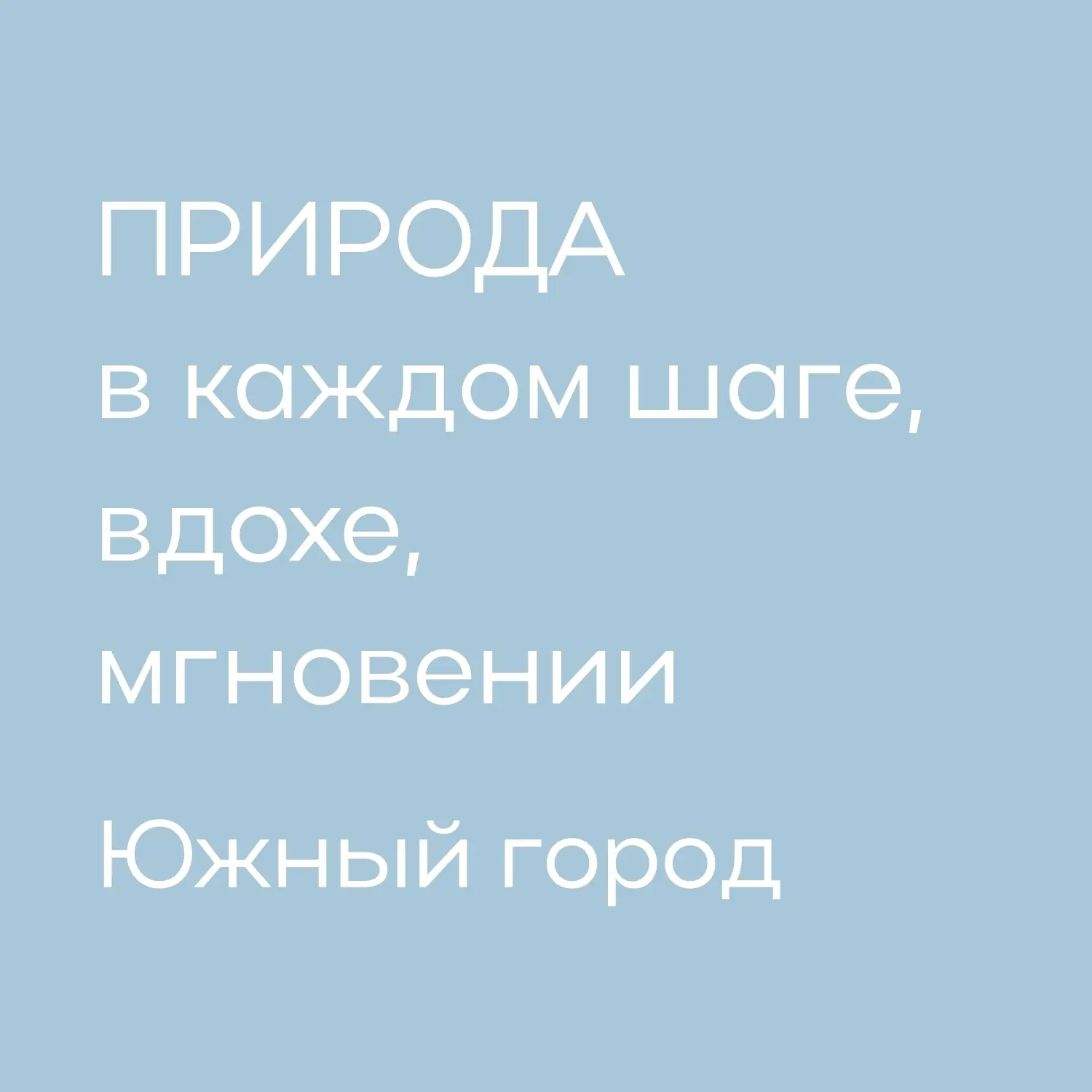 🌿 В стремительном потоке городских дней все чаще ловится мысль: а не слишком ли много вокруг асфаль