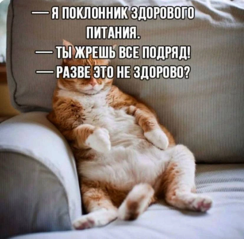 Ежик