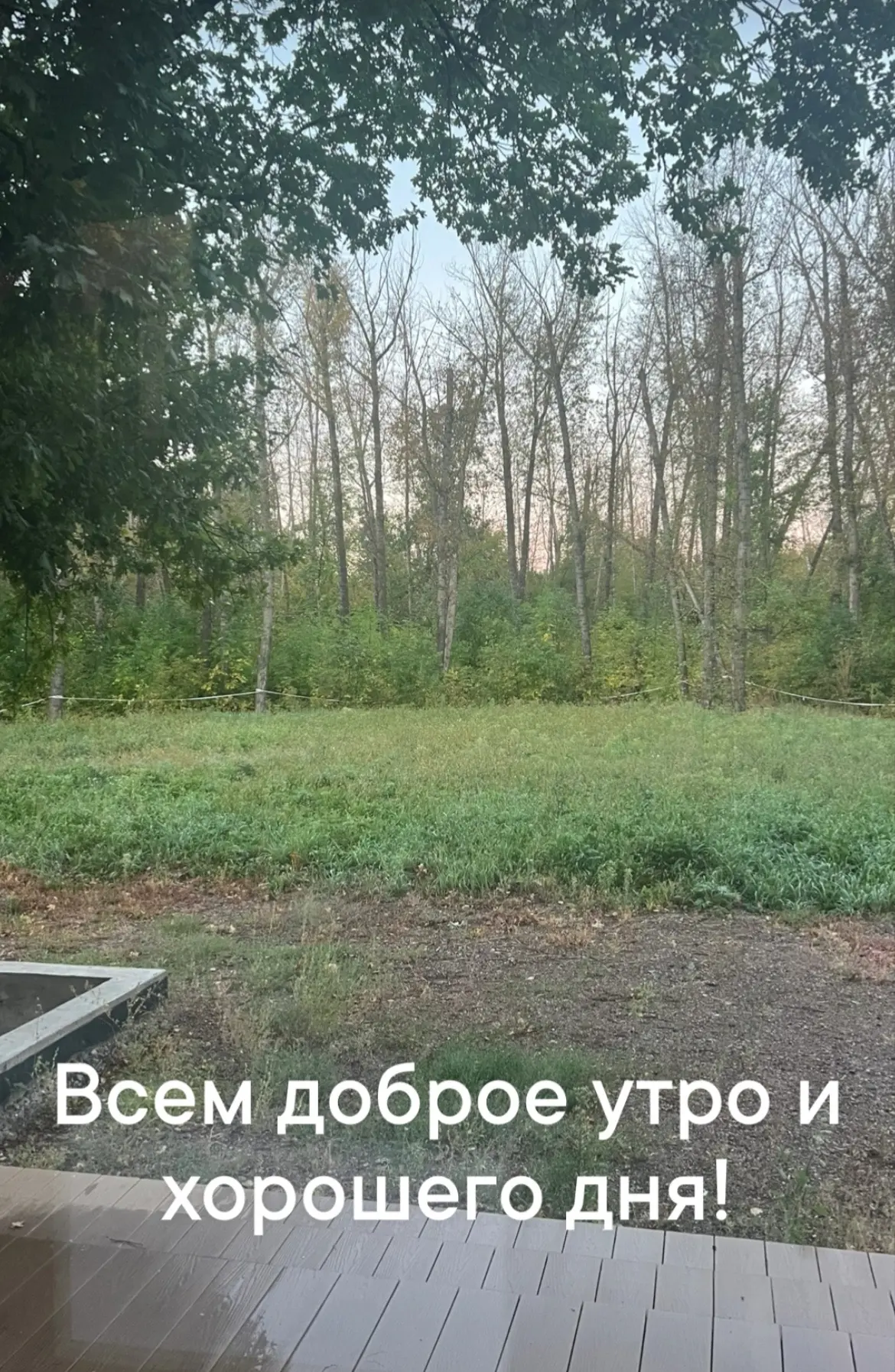 У меня в планах на сегодня онлайн работа, прием, косметолог и дела Дианы.
