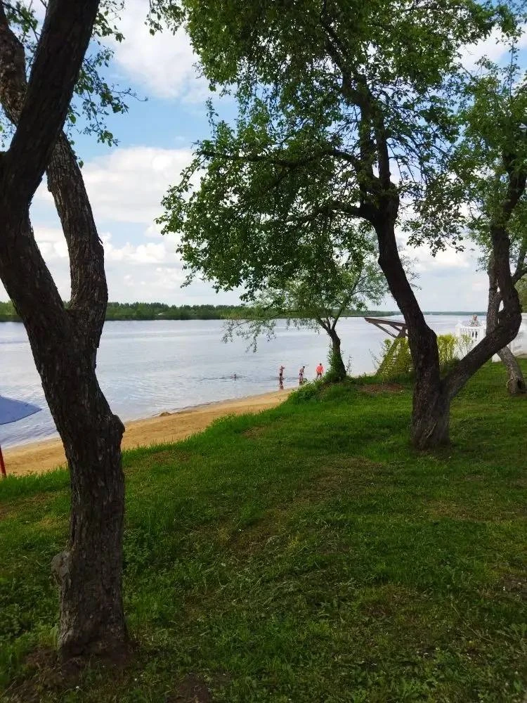 🏊 Вот и купальный сезон открыли  💚 ЧП -  Подпишись | Предложить новость