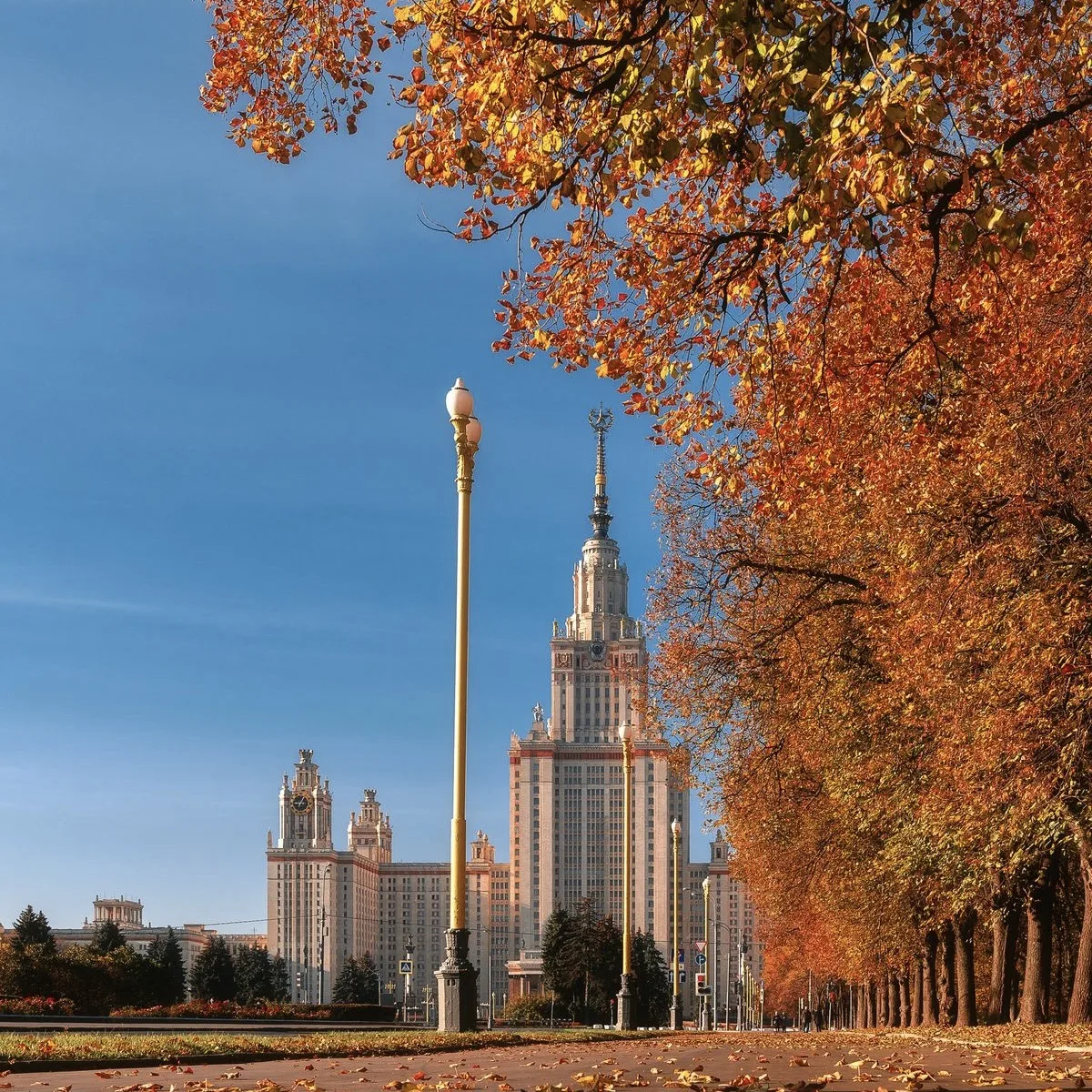 ☀️ Резкое потепление ожидает столицу в пятницу, будет до +18°C — «Фобос».