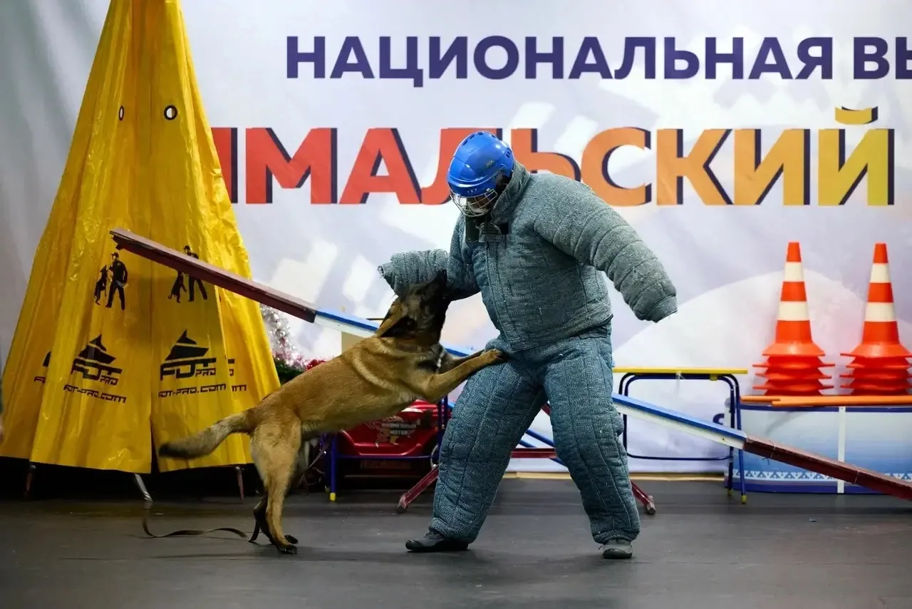 Дружба на четырёх лапах 3 мая, ученики начальной школы 3-а,3-б,4-а и 4-б классов вместе с родителями