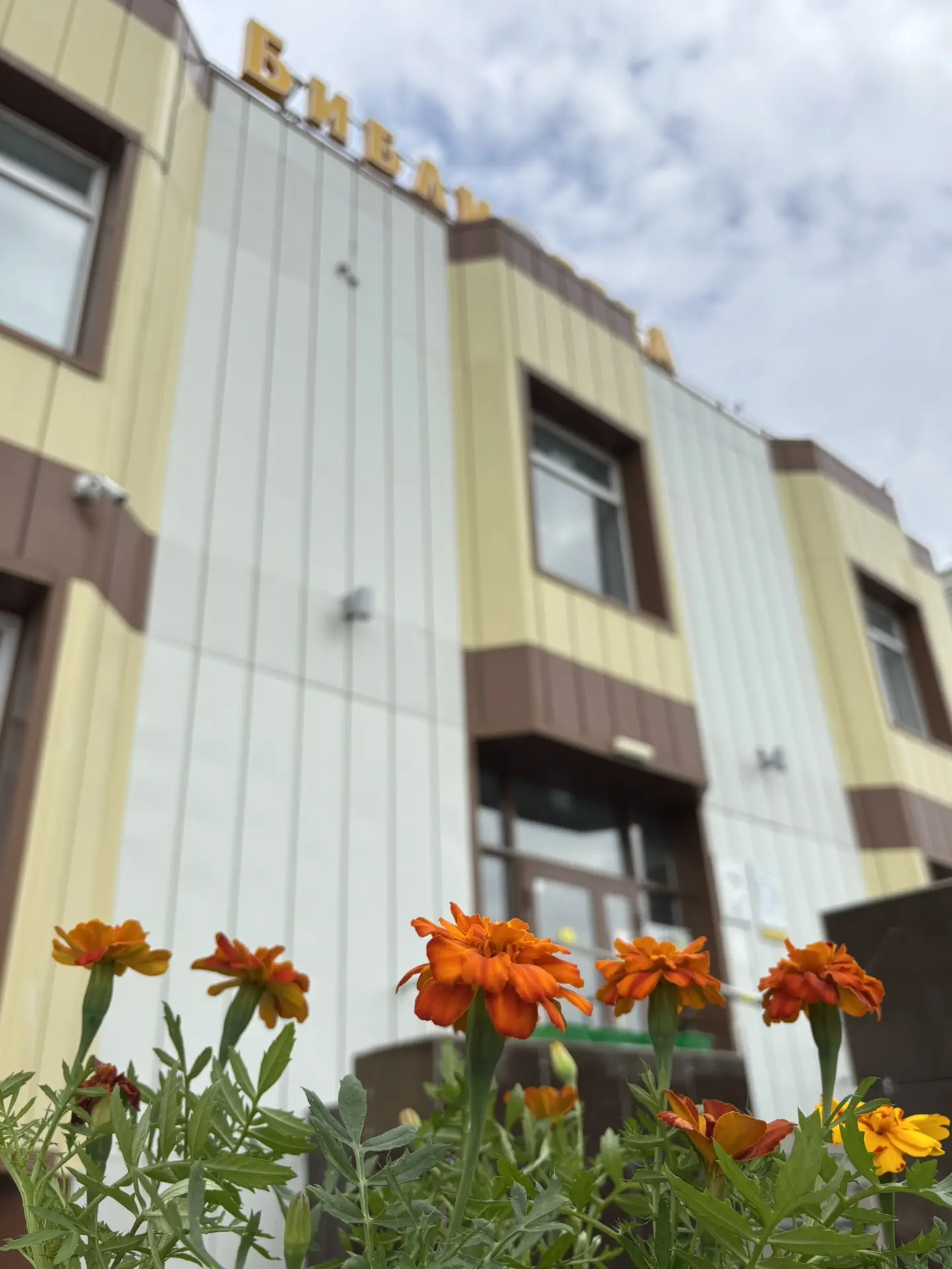 Лето окончательно поселилось у библиотеки на Молодежной

🌼 На клумбах перед зданием появились петун