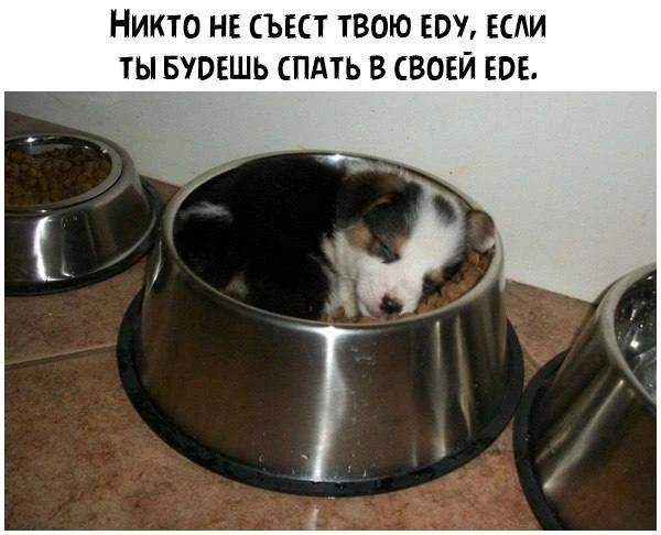 Ветер с Моря Дул