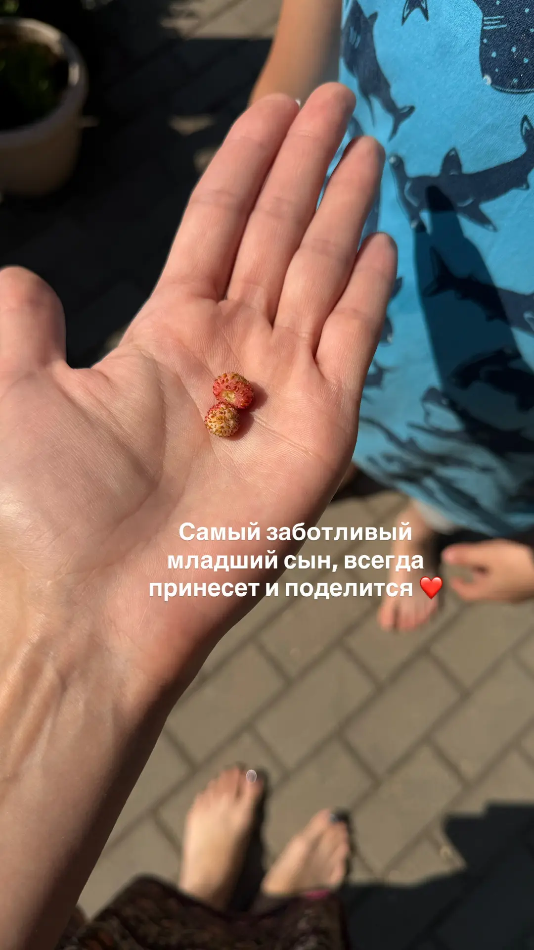 Первые ягодки пошли. Вчера жимолость собирали и сегодня 5 шт нашли. На самом деле всем надо занимать