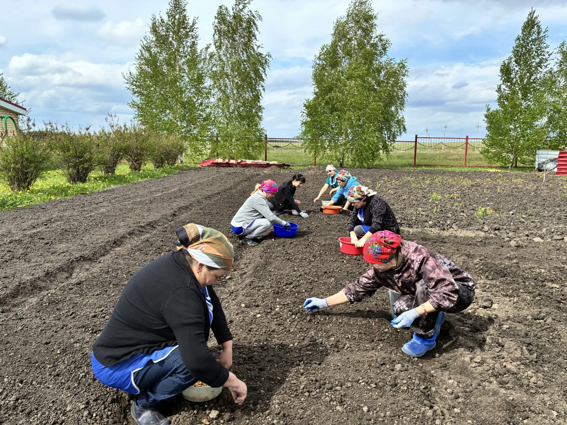 🌱🌱🌱 Сегодня мы произвели посевные работы на участке детского сада.