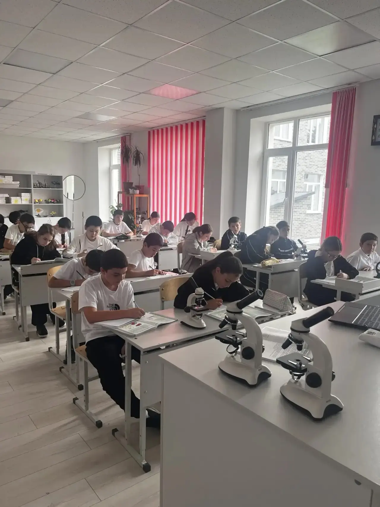 🔬 Изучаем растительную клетку