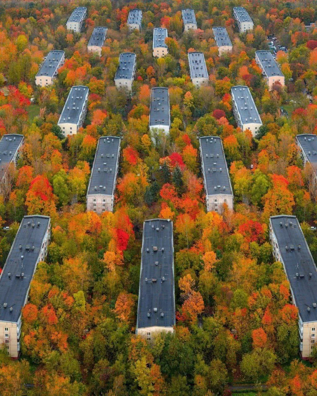 Невероятная осенняя красота в Хорошево-Мневниках 🍂