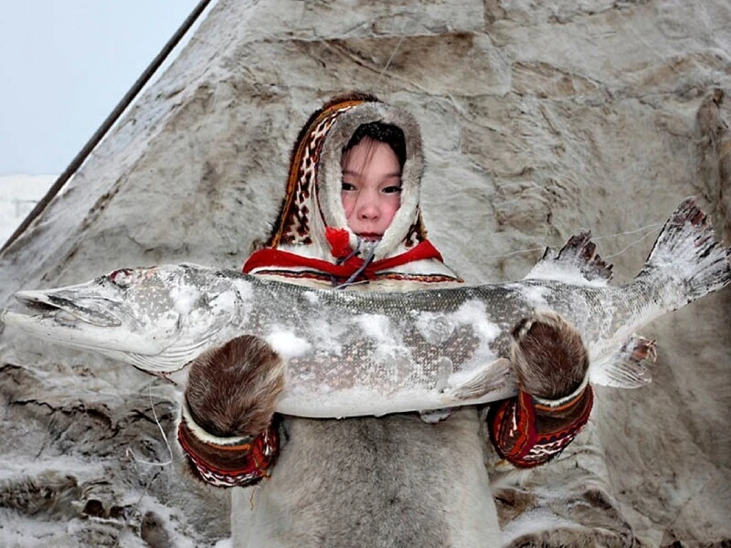ТЕХНОЛОГИЯ ШОКОВОЙ ЗАМОРОЗКИ