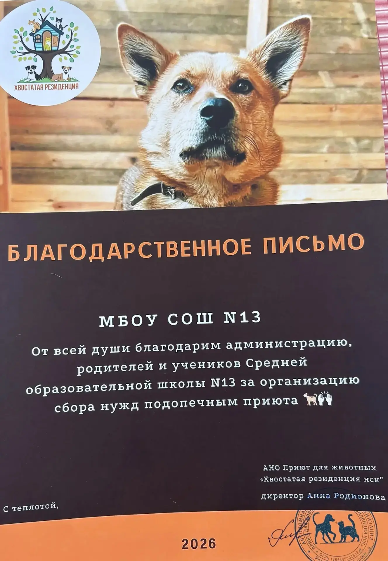 В школе закончилась акция «Братьям нашим меньшим». 
Огромное спасибо, учителям, учащимся и родителям