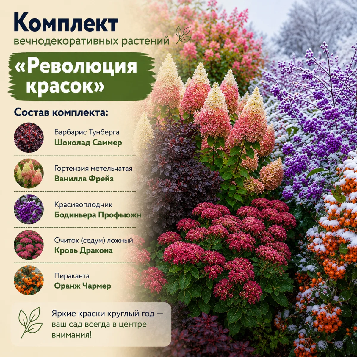Изображение 6 к публикации «Гарденмарт - семена и саженцы»