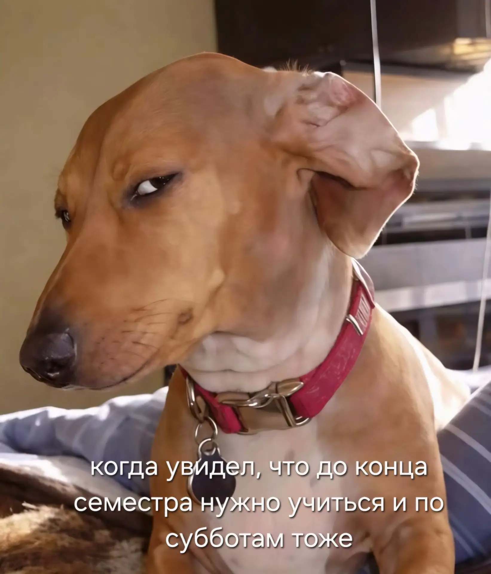 Первокурсники, у кого пары по субботам, вы как?