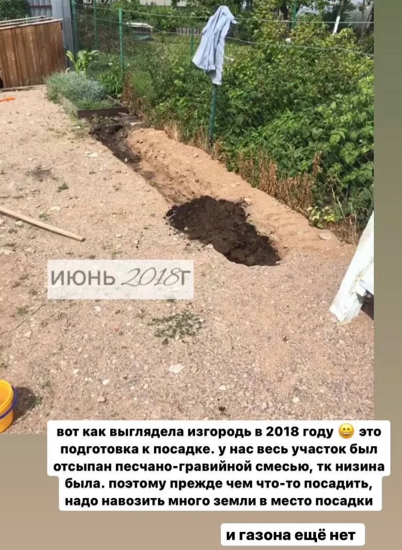 В дополнении к посту про изгородь, где подробно написано, что-как: фото разных времен г...