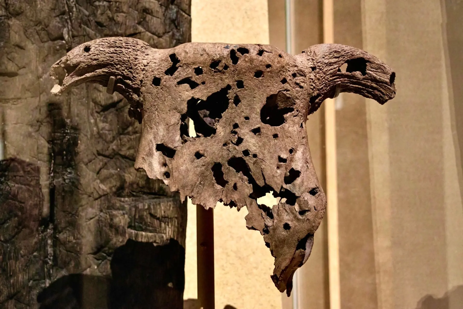 Череп быка, который римские вспомогательные войска использовали как мишень в форте Винд...