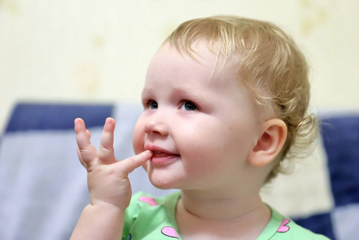В Вологодской области для многодетных семей действует широкий перечень региональных льг...