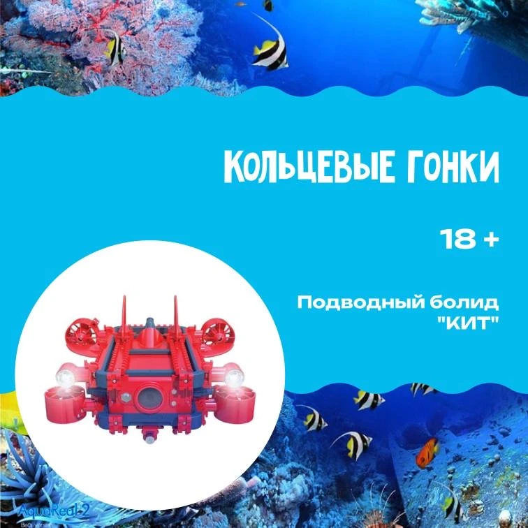 🚀 РЕГИСТРАЦИЯ НА ЧЕМПИОНАТ ПО ПОДВОДНО-ИССЛЕДОВАТЕЛЬСКОМУ СПОРТУ В САНКТ-ПЕТЕРБРГЕ!  Отборочный чемп