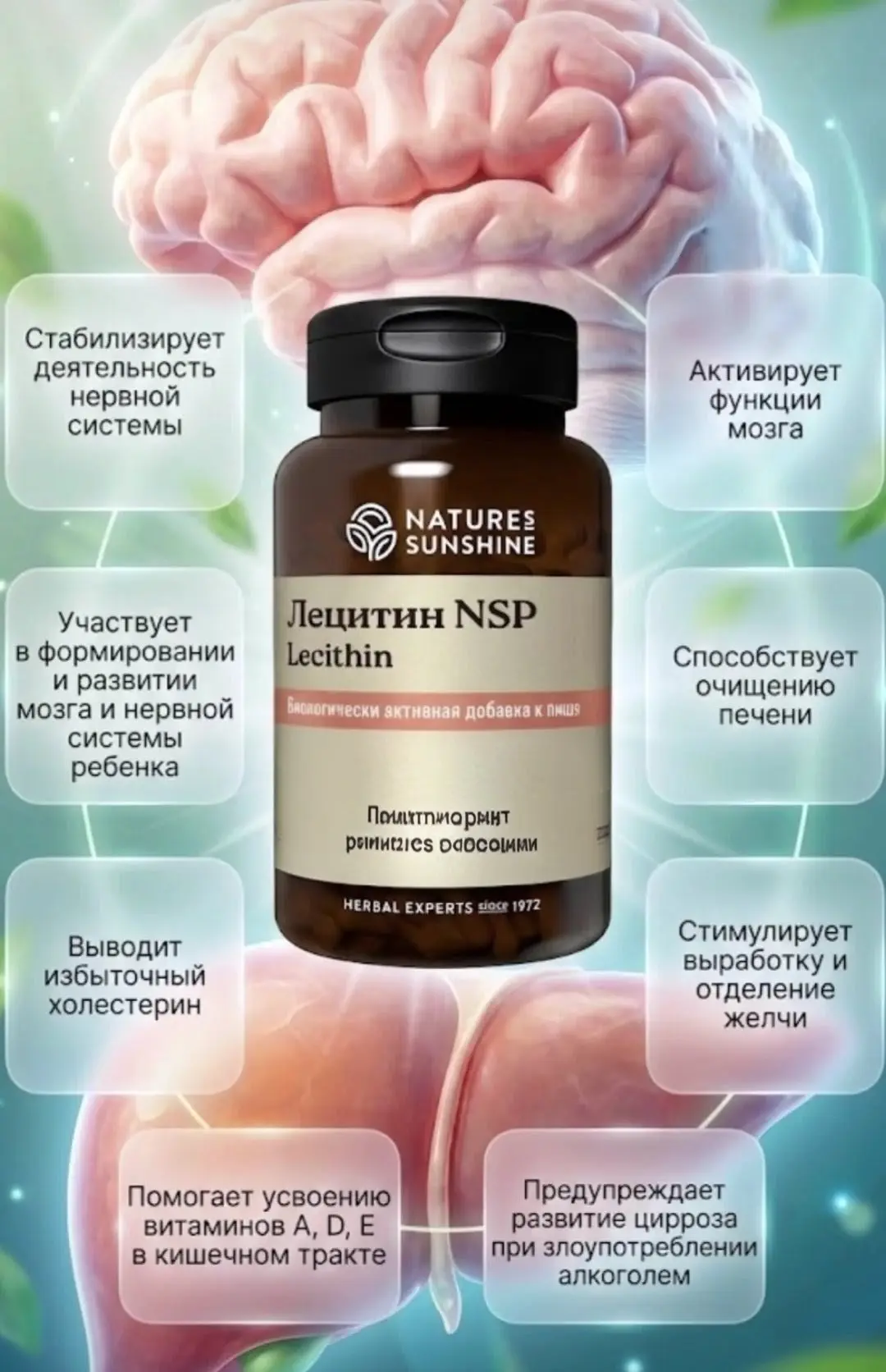 💊Лецитин НСП — это натуральный строительный материал для организма. Продукт представля...
