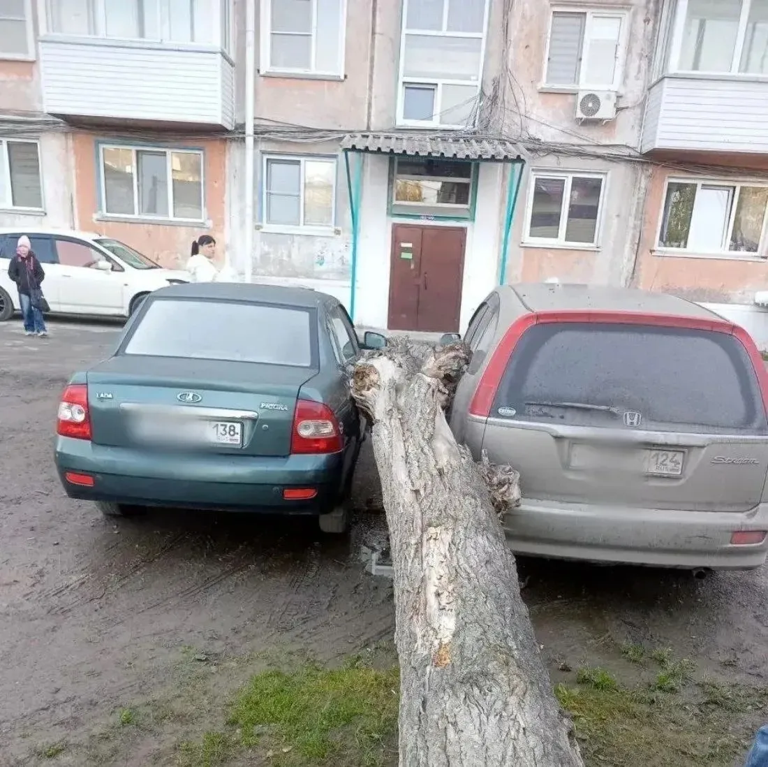 Сегодня утром, во дворе на 1-ом микрорайоне, упал тополь. Дерево повредило припаркованн...