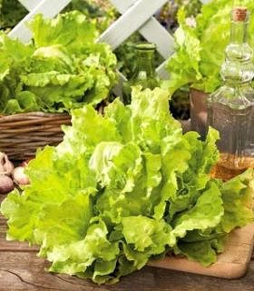 🍃🥗 В супермаркетах часто можно наткнуться на горшочки с салатом, но их вкус, как правило, оставляет 