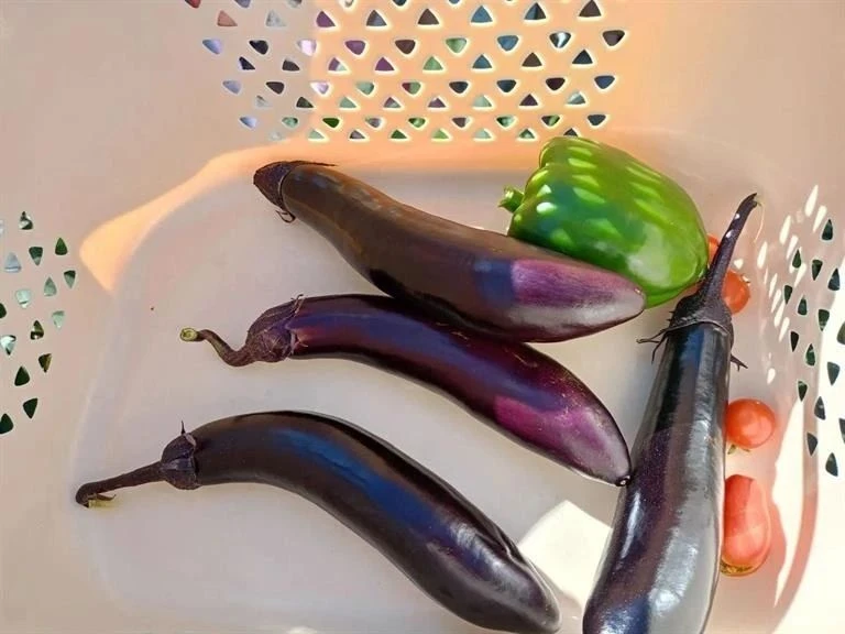 🌱 Красноярские дошколята собирают свой первый урожай