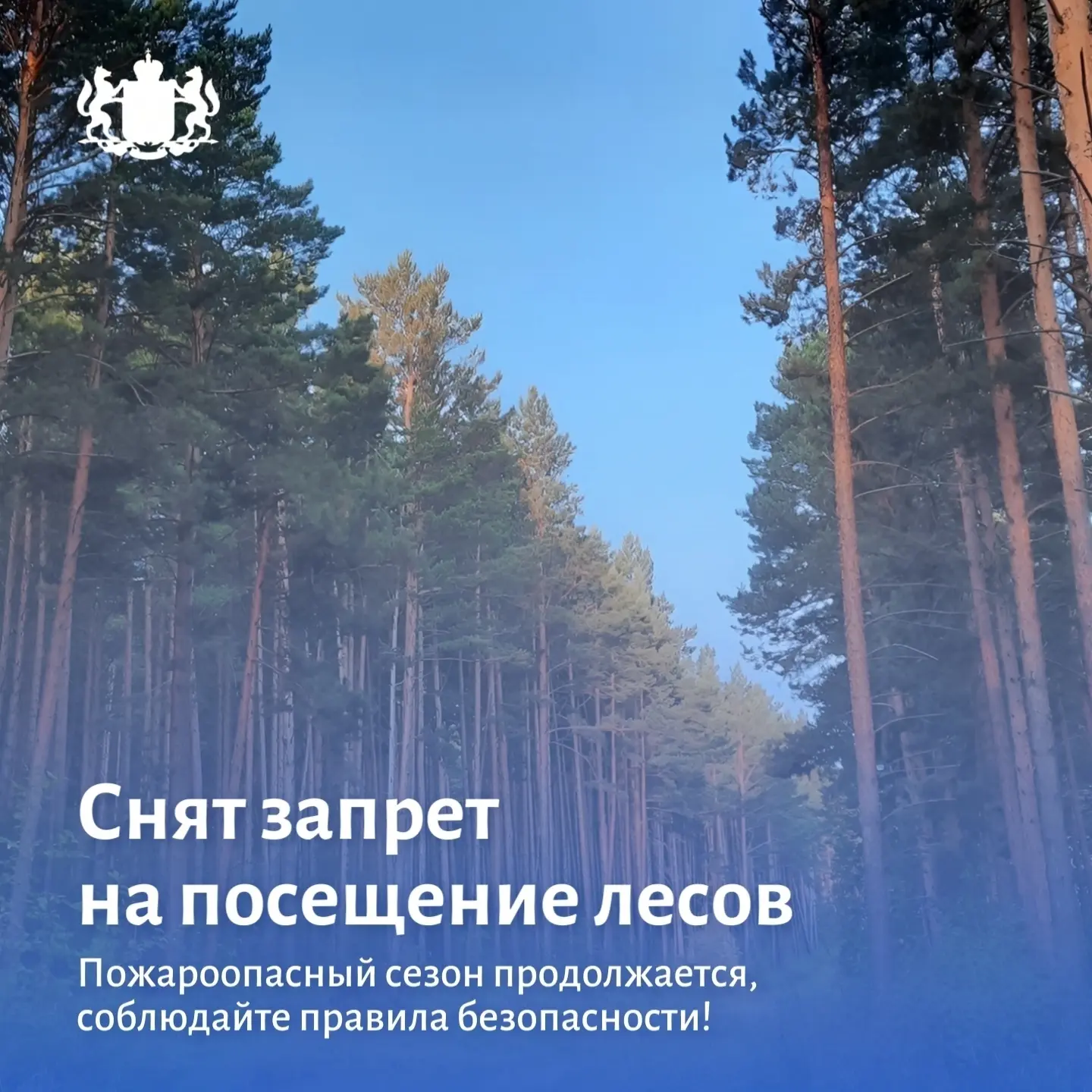 С 29 июня в Тюменской области снят запрет на посещение лесов