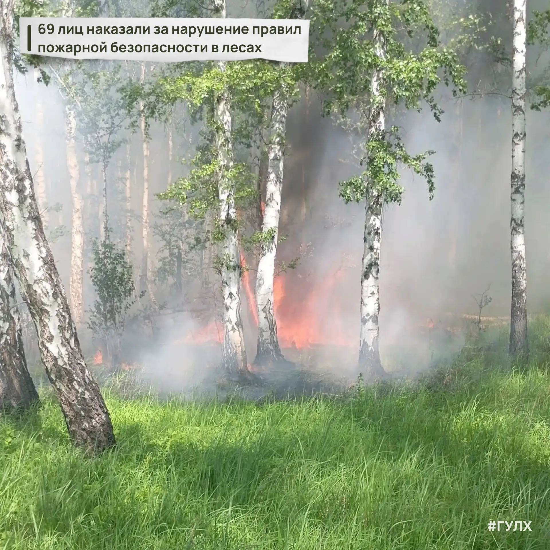 🔥🔥Лесные пожары потушили вчера в Одесском и Москаленском районах. Оба они случились п...