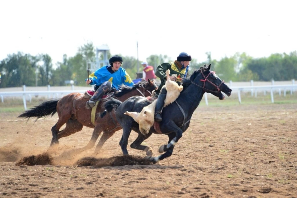 🏇 Спортивных скакунов из Казахстана развернули на границе в Челябинской области