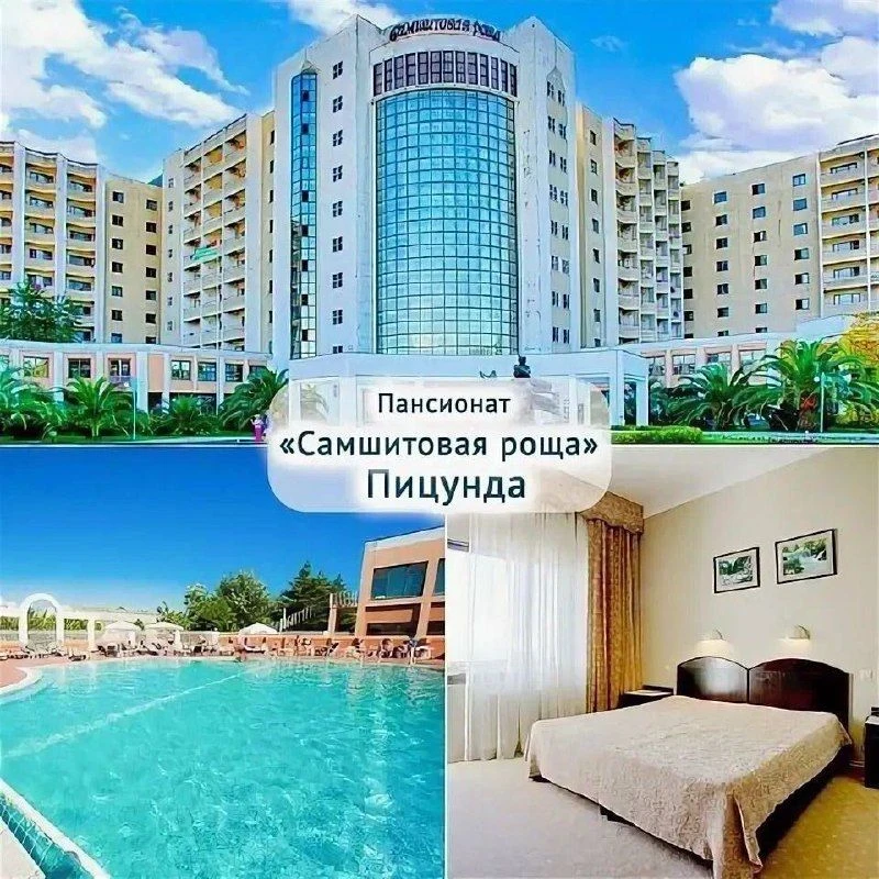 ‼️ САМШИТОВАЯ РОЩА