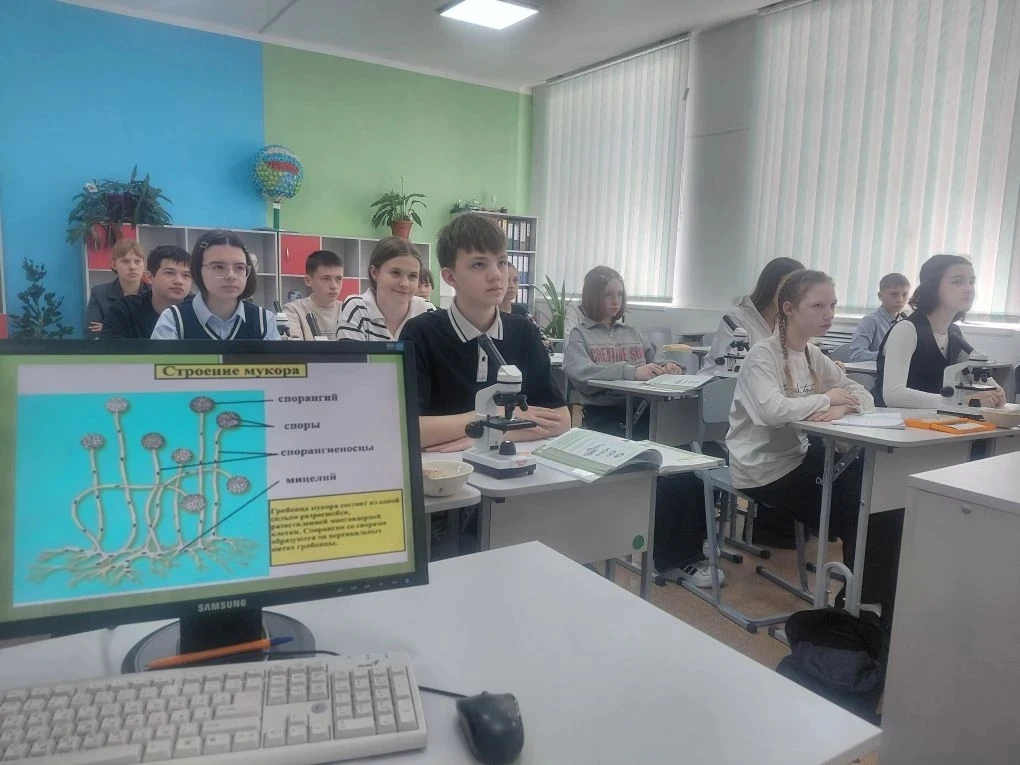 💫28 апреля 2026 года в седьмом классе прошёл урок биологии «Плесневые грибы и дрожжи»,...