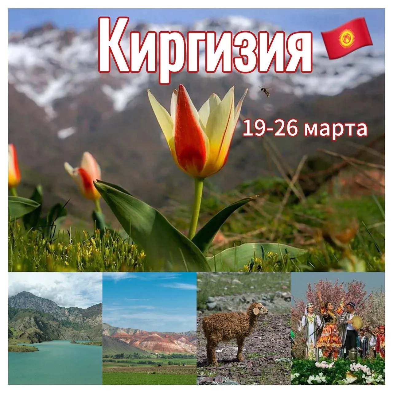 19-26 марта КИРГИЗИЯ 🇰🇬   🔥4 места🔥  Влюбиться в Киргизию за 8 дней!  Окунувшись в  культуру, природ