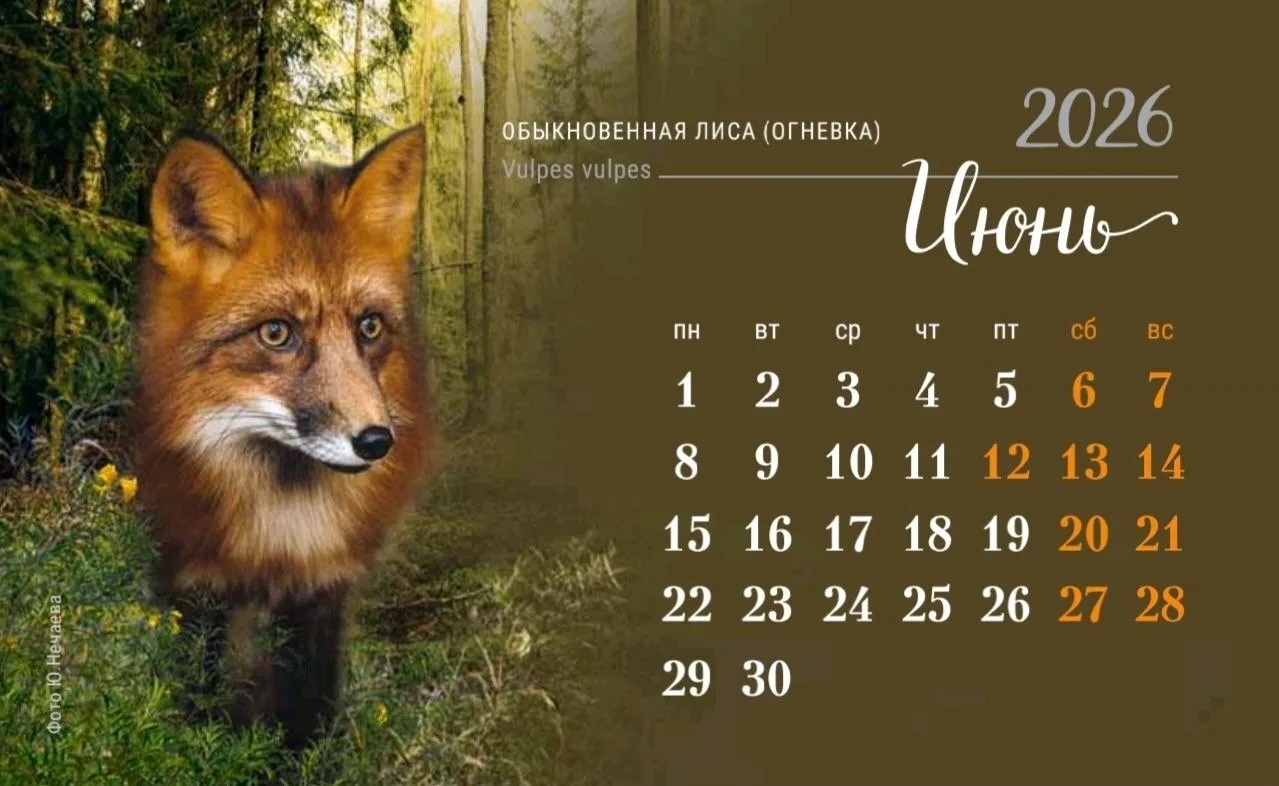 Доброе утро!