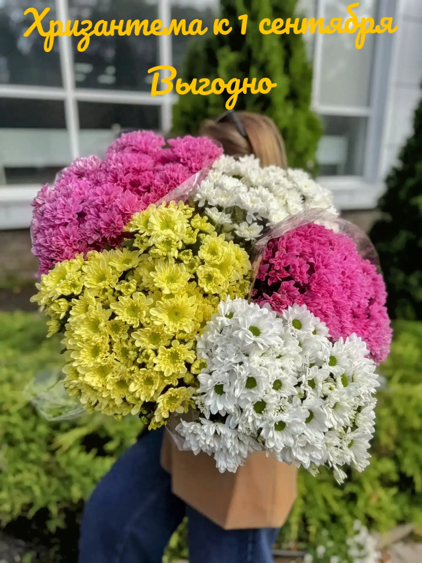 Мы запустили продажу ХРИЗАНТЕМЫ кустовой ПАЧКАМИ! 🌸