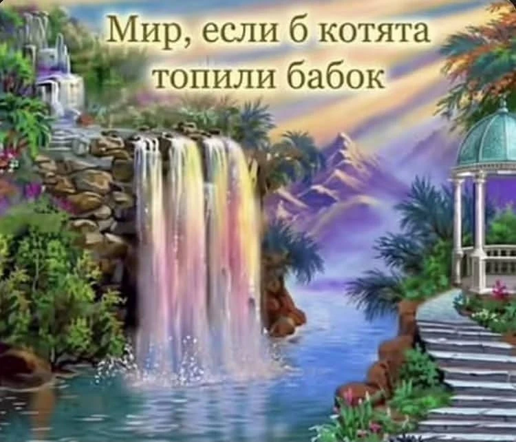 Мемы каждый день • Подписаться