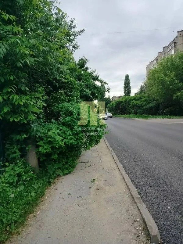 На благоустройство жалуются читатели. 

На Юных Натуралистов сильно разрослись кусты:

«Но хозяева ч