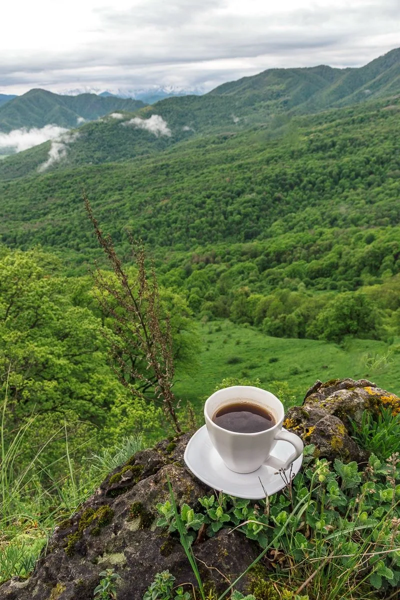 Доброе утро ! 
Вдохните полной грудью !  🦋☘️