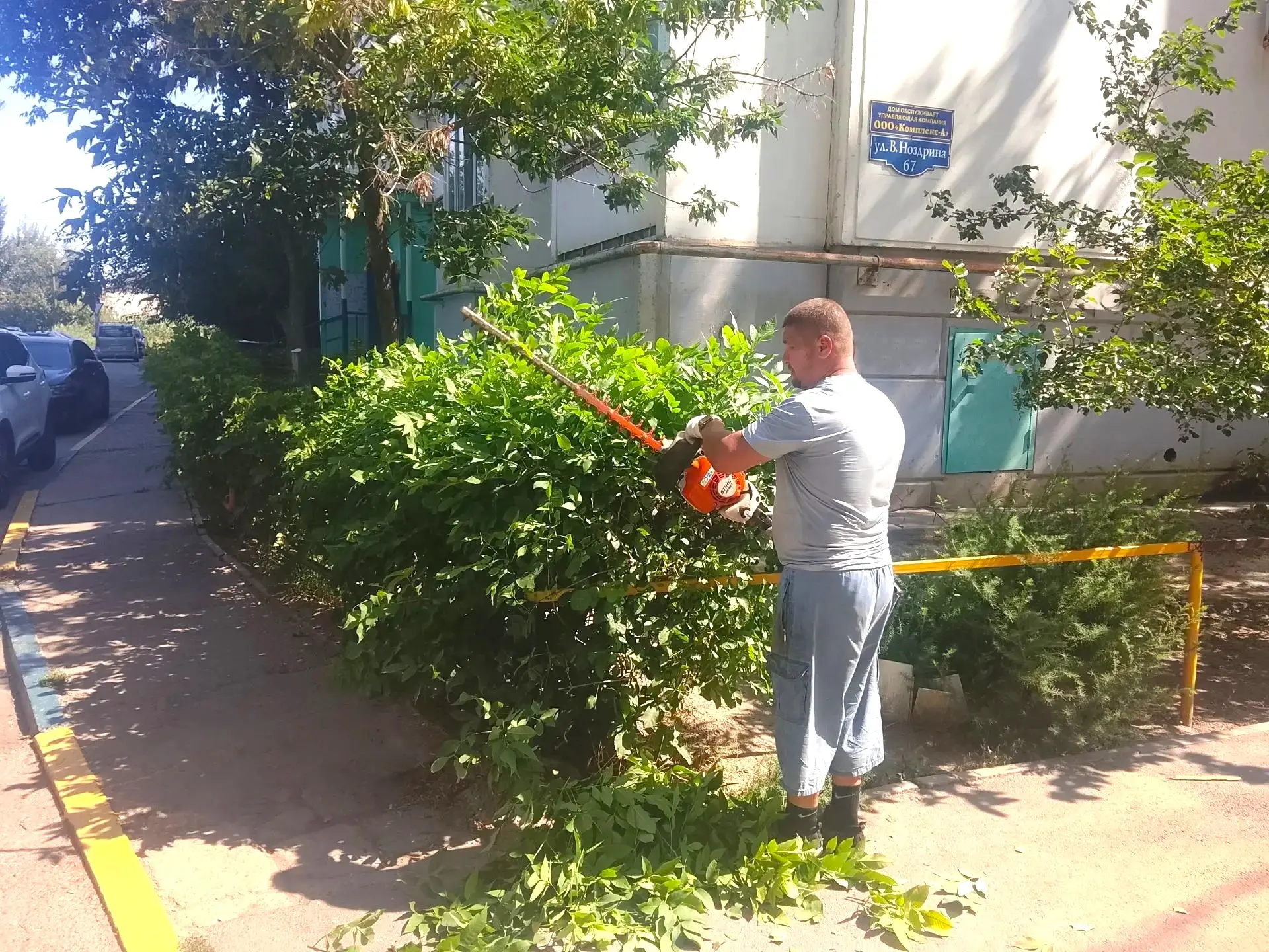 К новости «🌿 Зелёная стрижка для идеального порядка! ✂️»
