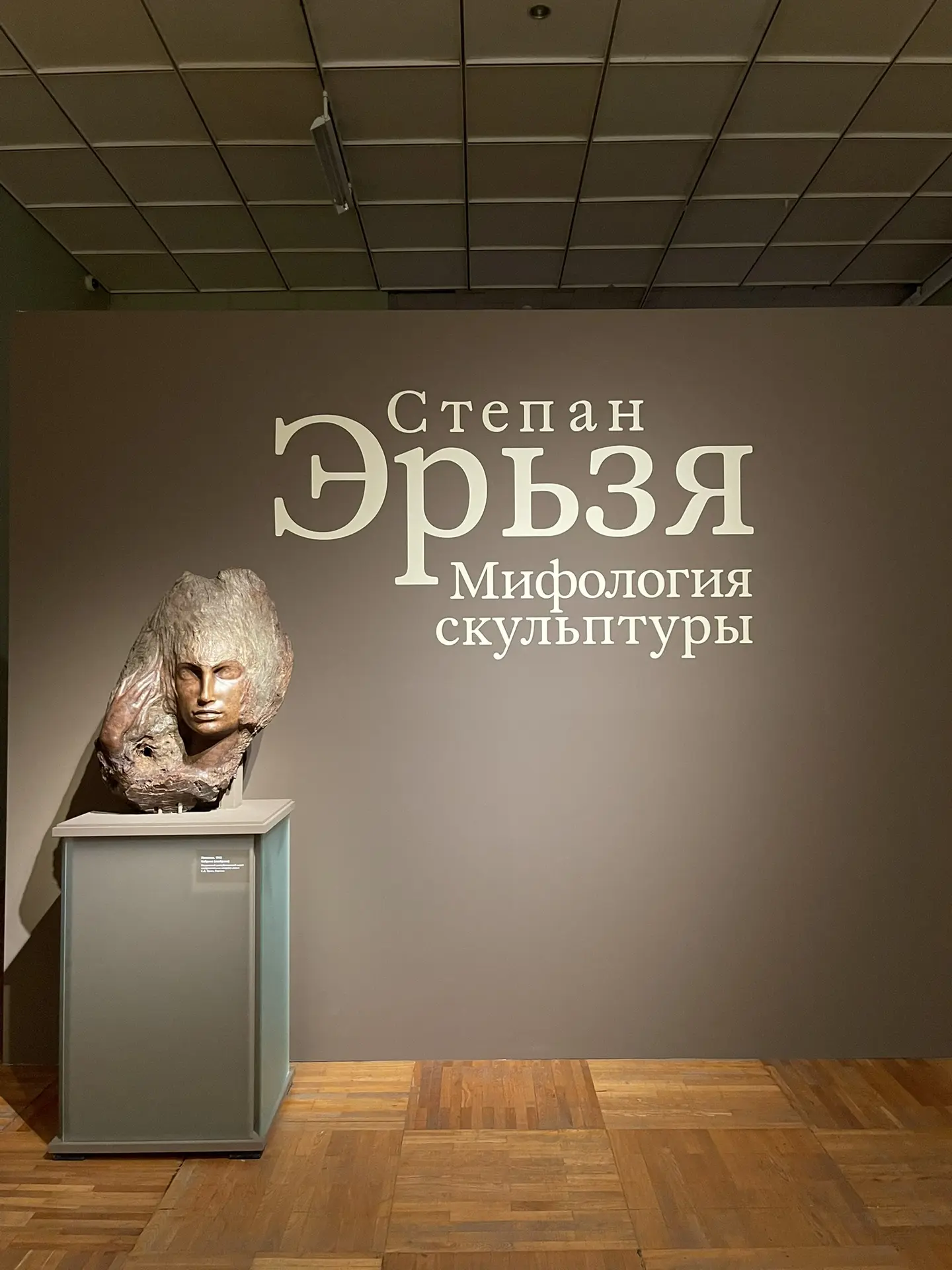 С искусством Степана Эрьзи я впервые познакомилась на его родине в Саранске. Пришли с д...