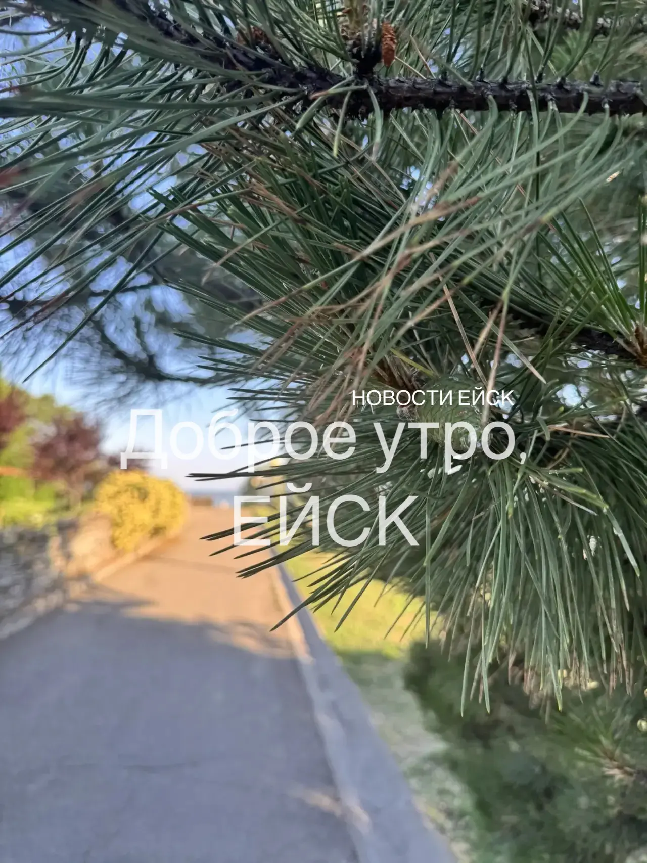 ☀️ Воскресное утро в Ейске — ловим лето! ☀️