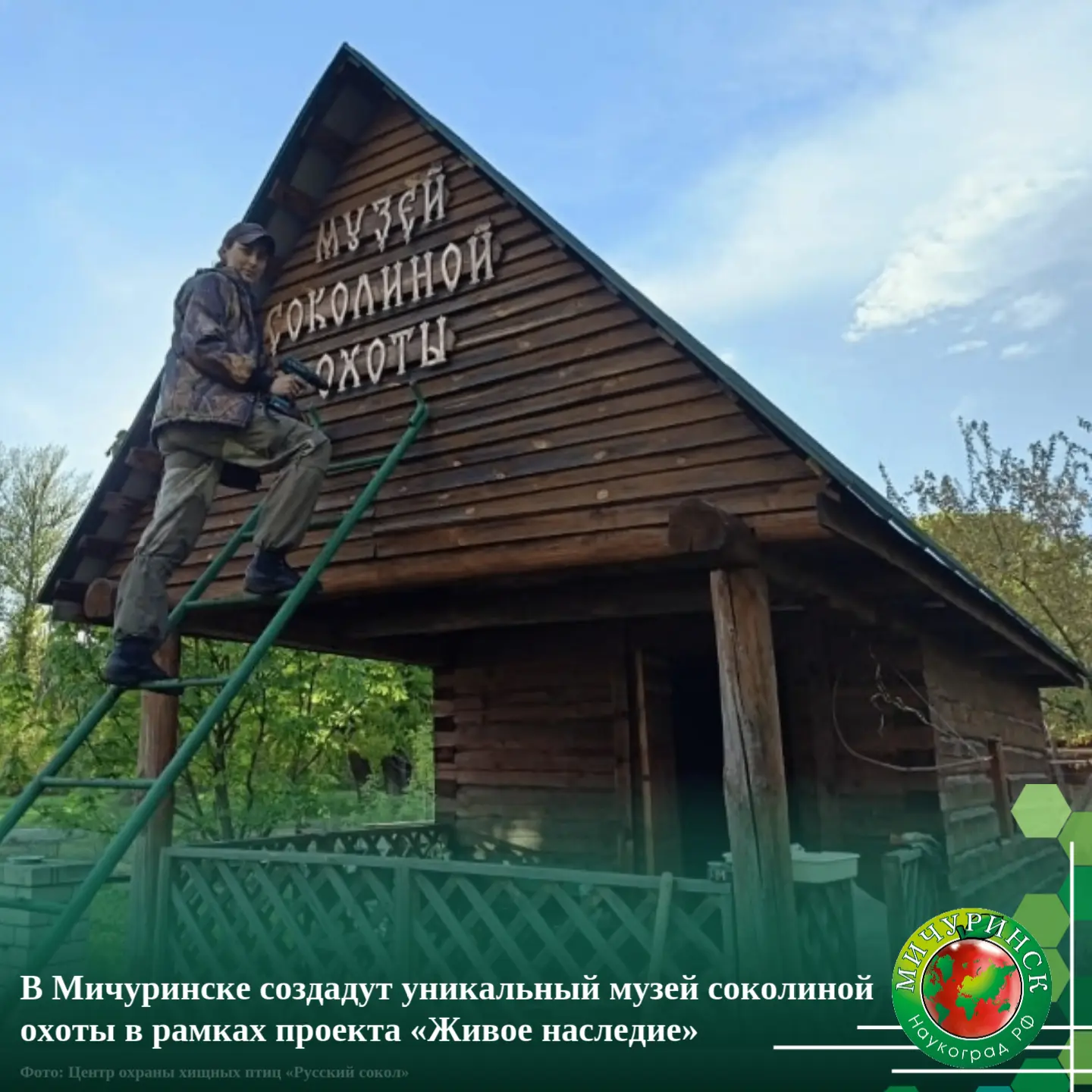 В Мичуринске создадут уникальный музей соколиной охоты в рамках проекта «Живое наследие»