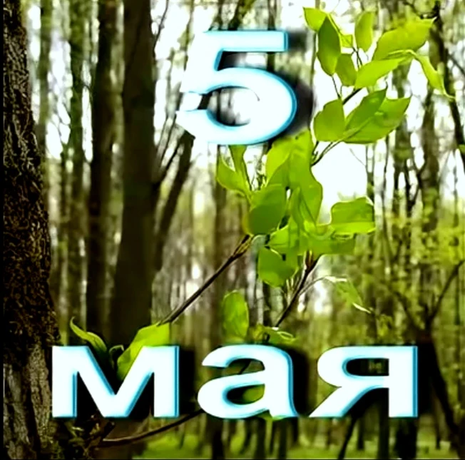 ✨ 5 мая 2026 ✨