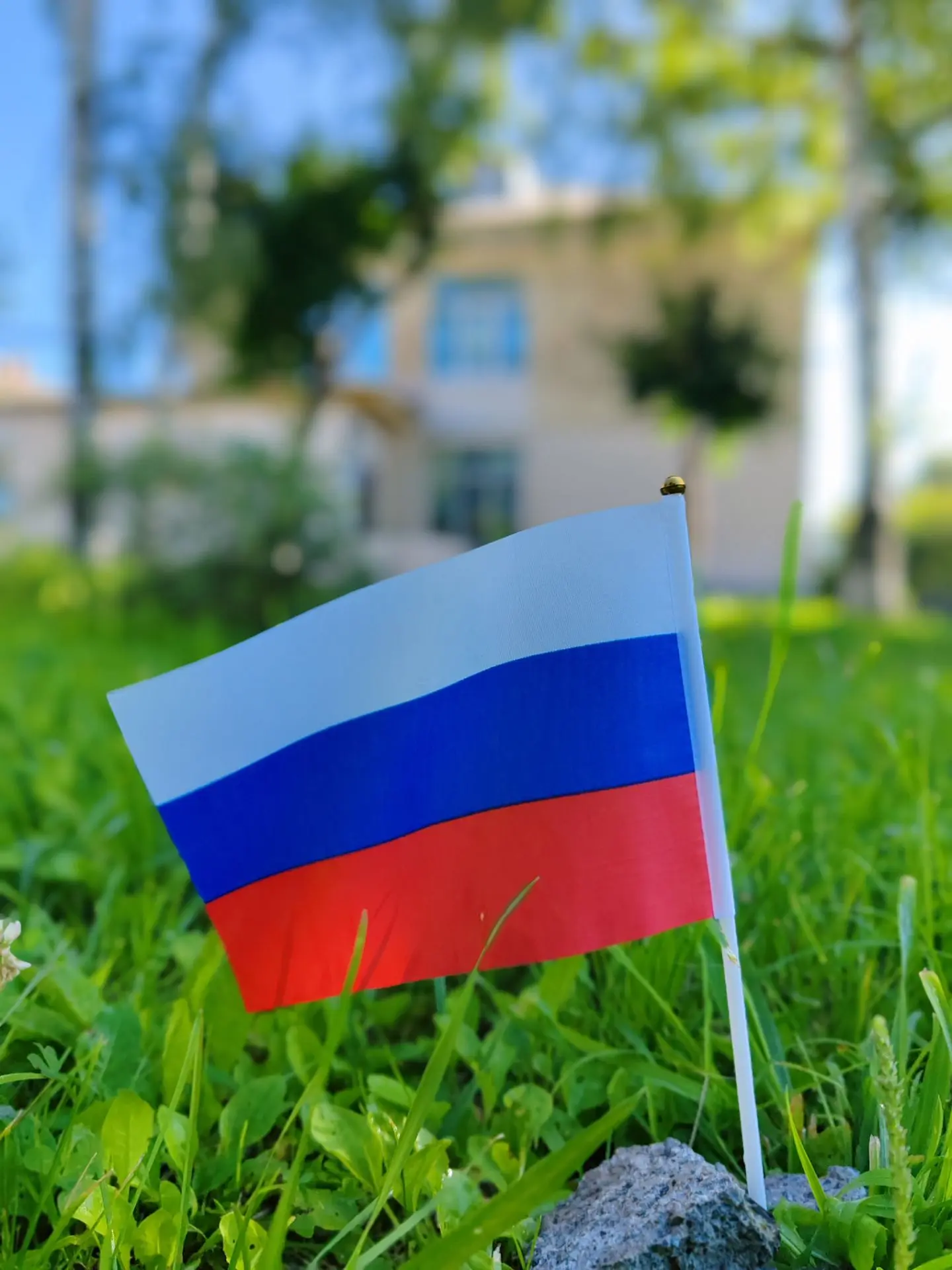 🇷🇺 Фотоконкурс «Белый, синий, красный – самый красивый»!